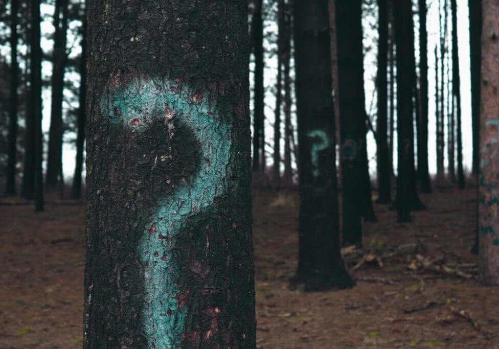 Question Marks on Trees in Forest