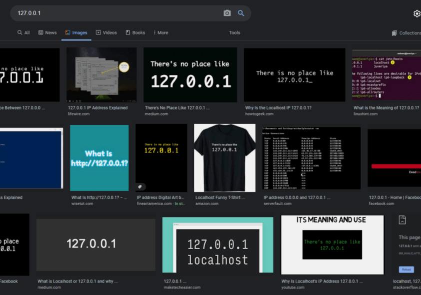 Hosting Companies using bad IP