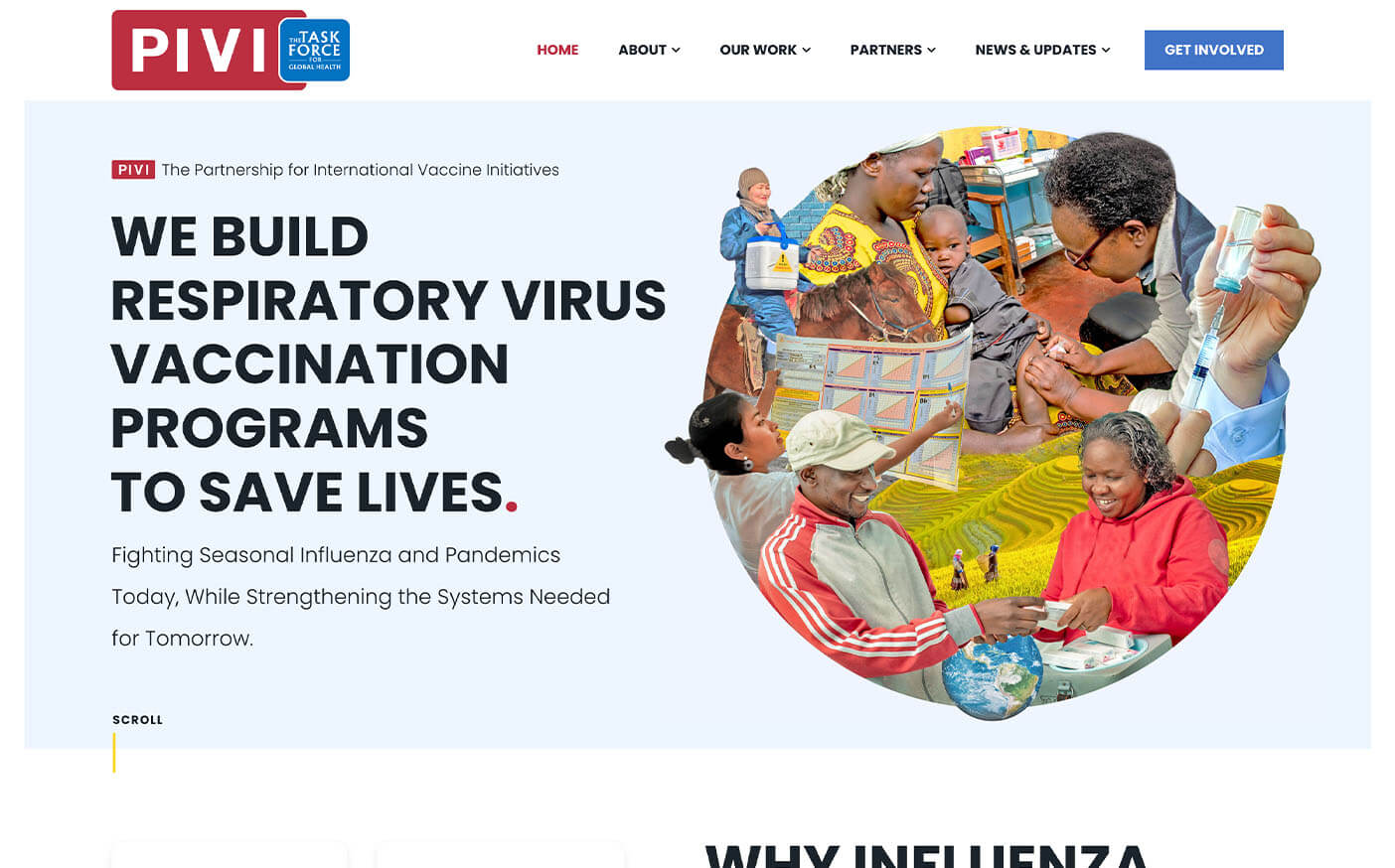 PIVI Partners Web Design Screenshot