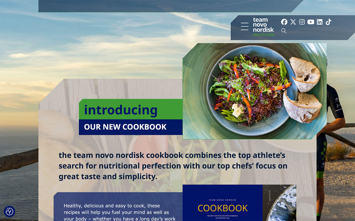 Team Novo Nordisk Website Design Cookbook Screenshot