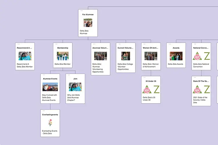 a computer screen shot of a computer tree