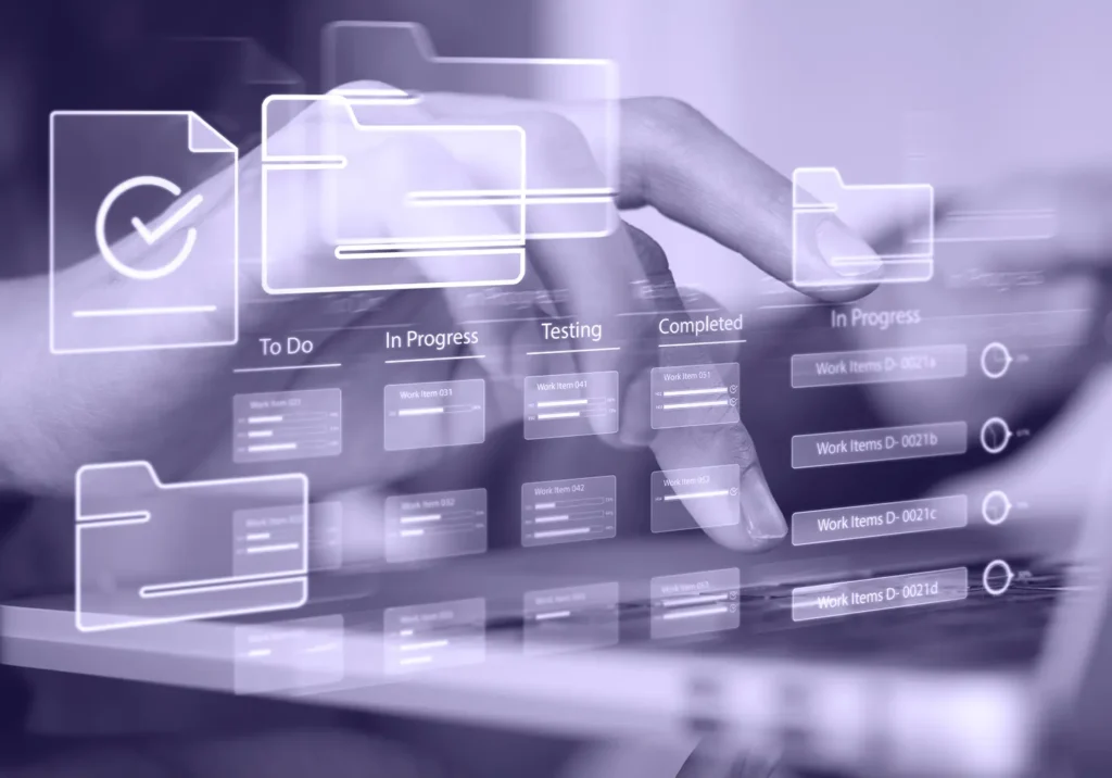 Managing Successful Website Project