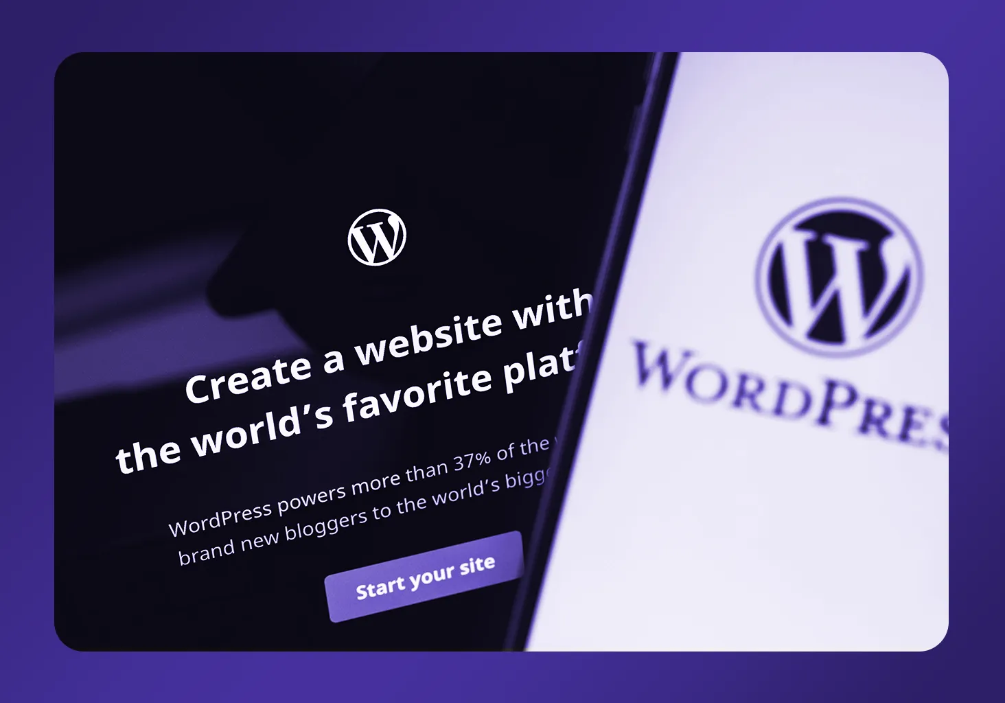 WordPress Unleashed: Building Enterprise Solutions with GaDOE